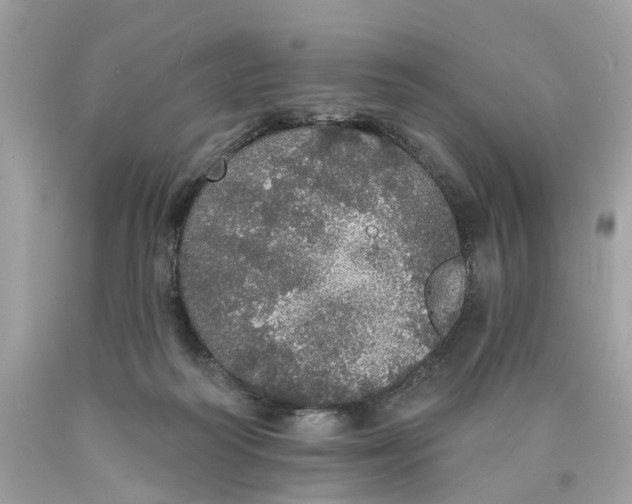 X0000089960218200707201956