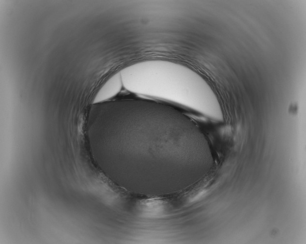 X0000089960219200707201956