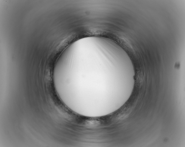 X0000089960220200707201956