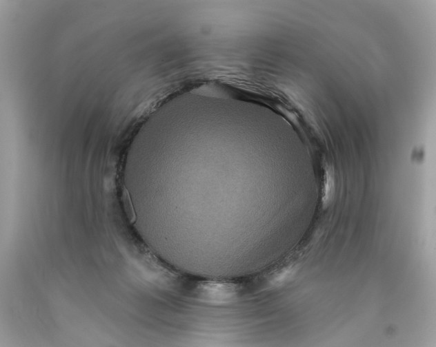 X0000089960221200707201956