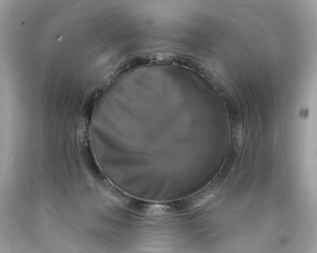 X0000089960222200707201956