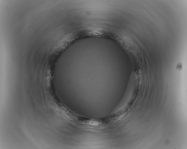 X0000089960223200707201956