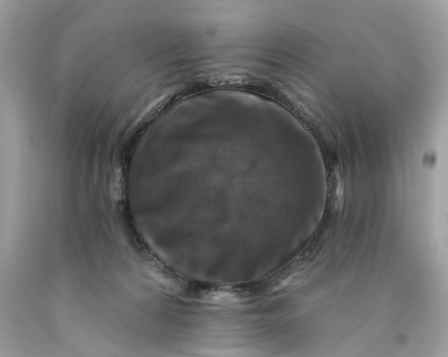 X0000089960224200707201956