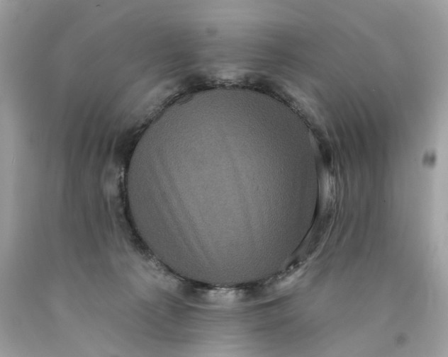 X0000089960225200707201956