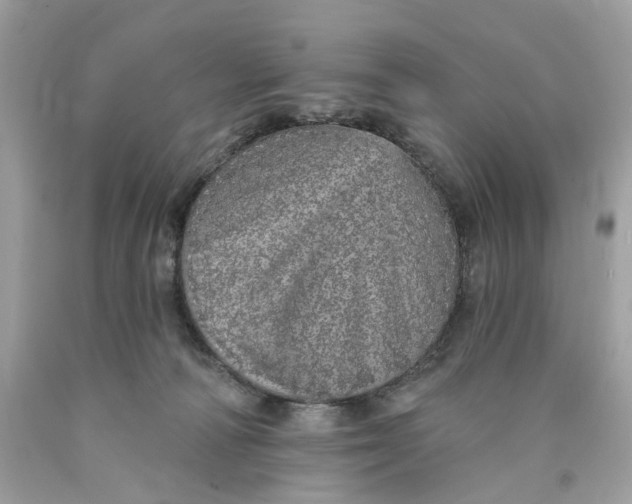 X0000089960226200707201956