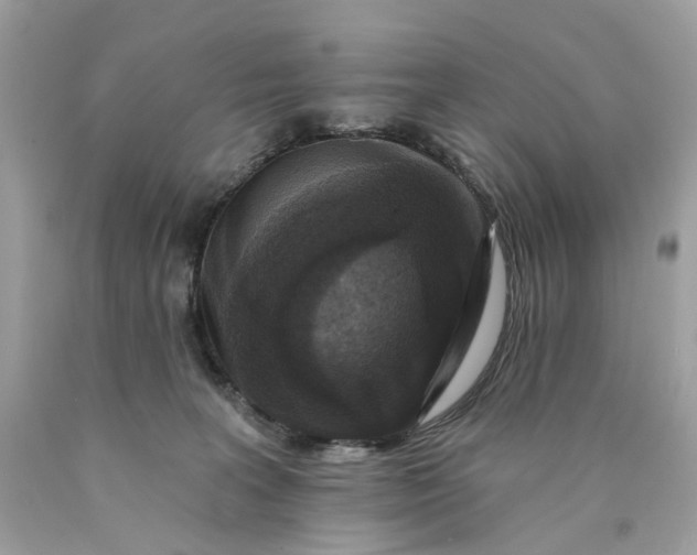 X0000089960227200707201956