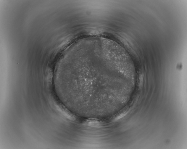 X0000089960228200707201956