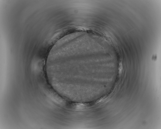 X0000089960229200707201956