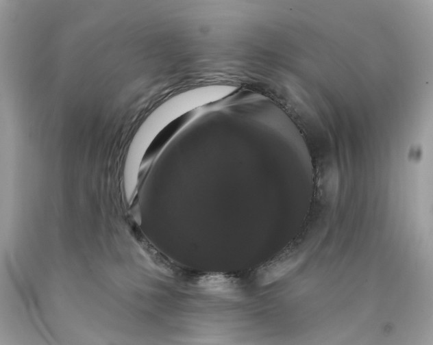 X0000089960231200707201956