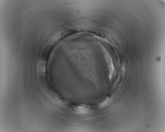 X0000089960232200707201956