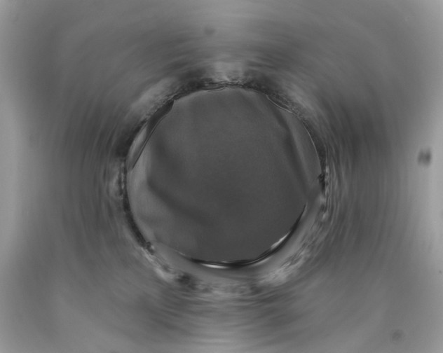 X0000089960233200707201956