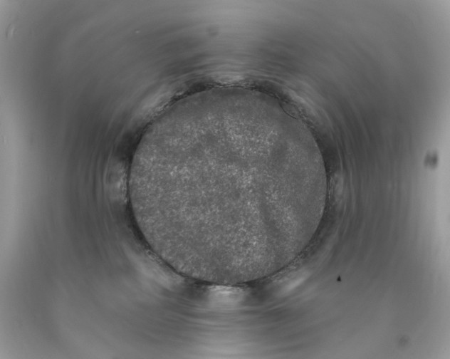 X0000089960234200707201956