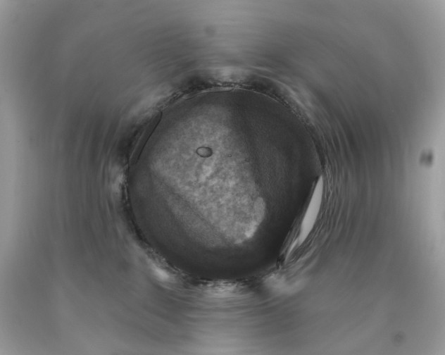 X0000089960235200707201955