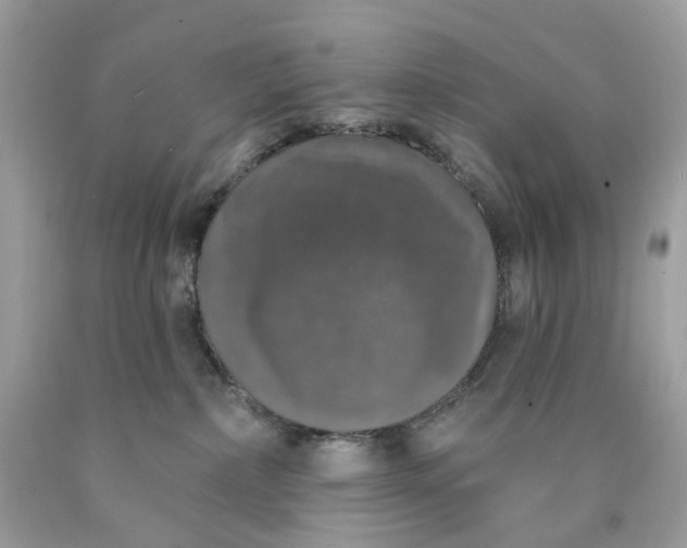 X0000089960236200707201955