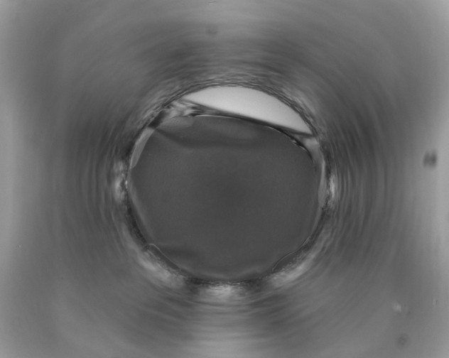 X0000089960237200707201955