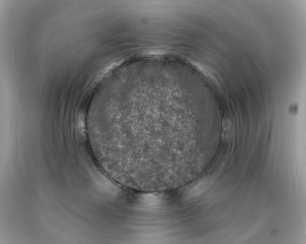 X0000089960238200707201955