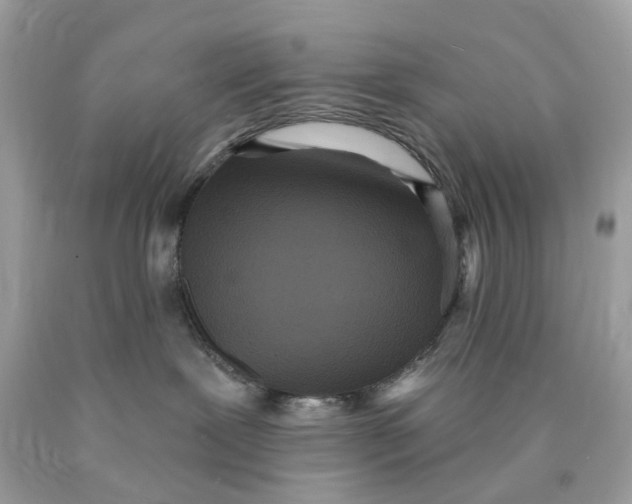 X0000089960239200707201955