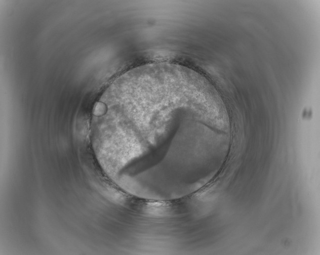 X0000089960240200707201955