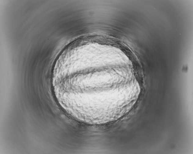 X0000089960241200707201955