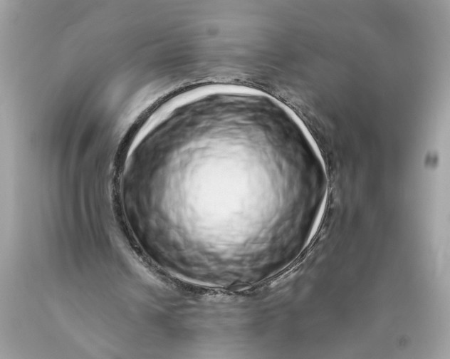 X0000089960242200707201955