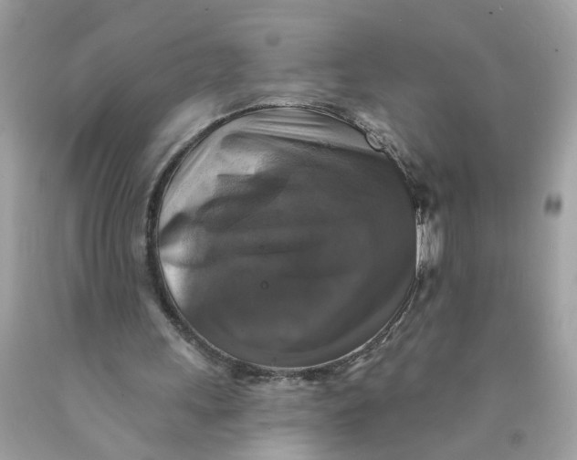 X0000089960243200707201955