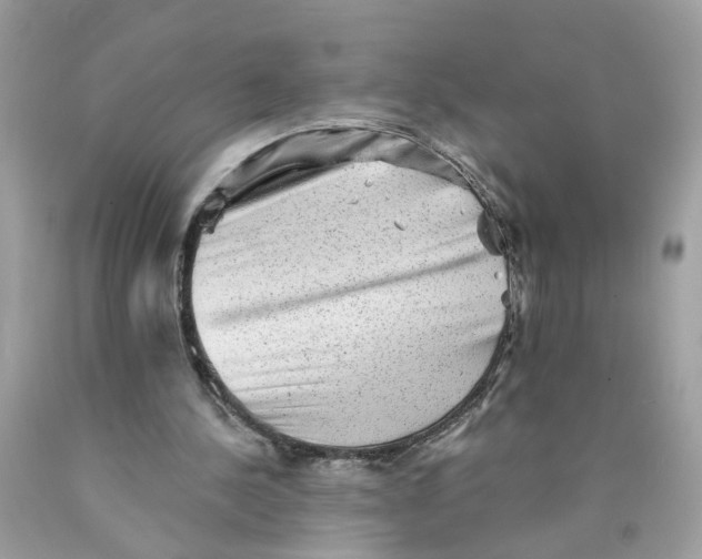 X0000089960244200707201955