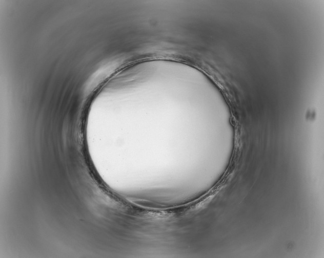 X0000089960245200707201955