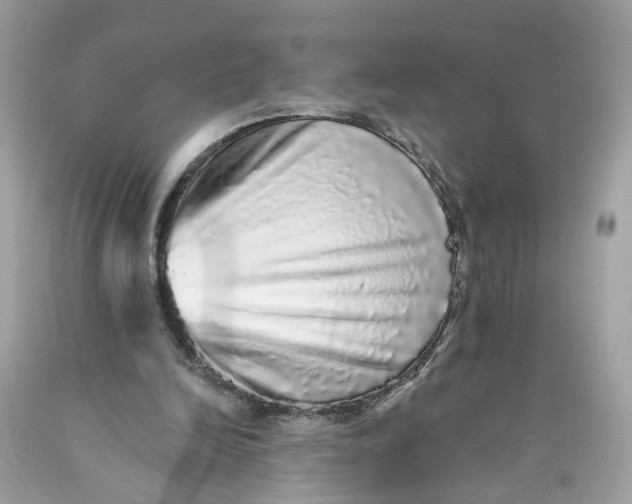 X0000089960246200707201955