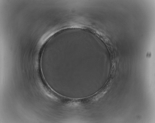 X0000089960247200707201955