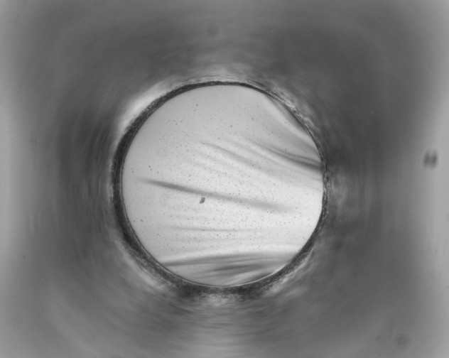 X0000089960248200707201955