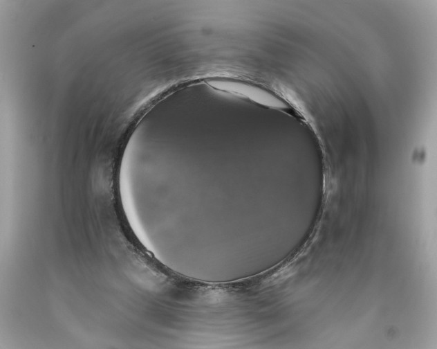 X0000089960249200707201955