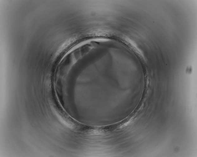 X0000089960250200707201955