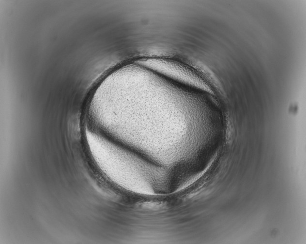 X0000089960251200707201955