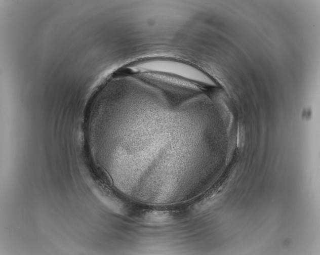 X0000089960252200707201955