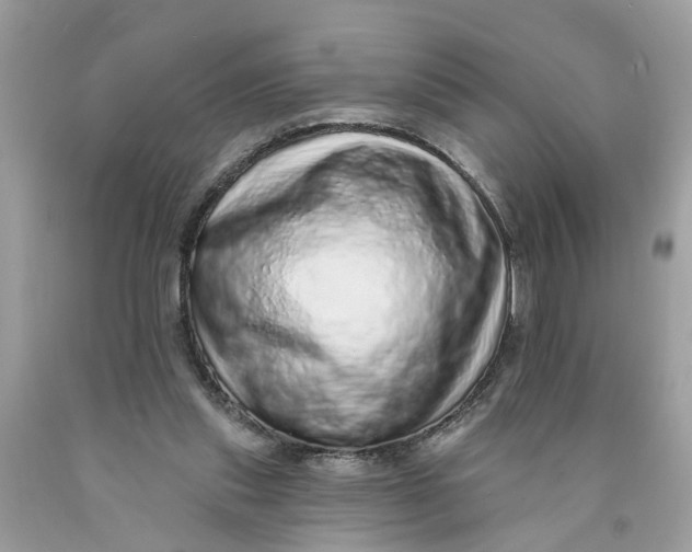 X0000089960253200707201955