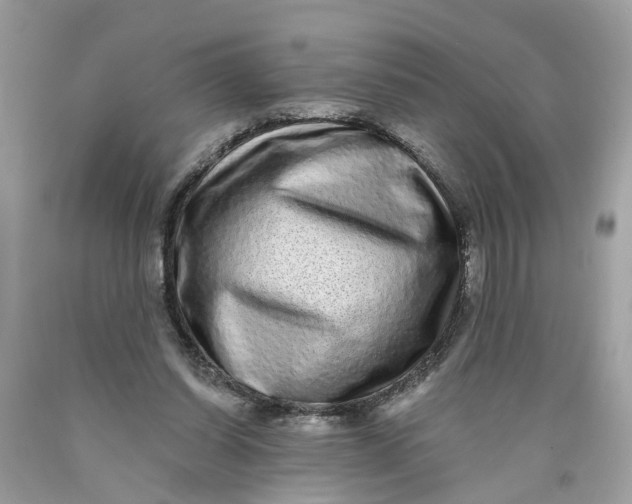 X0000089960254200707201955