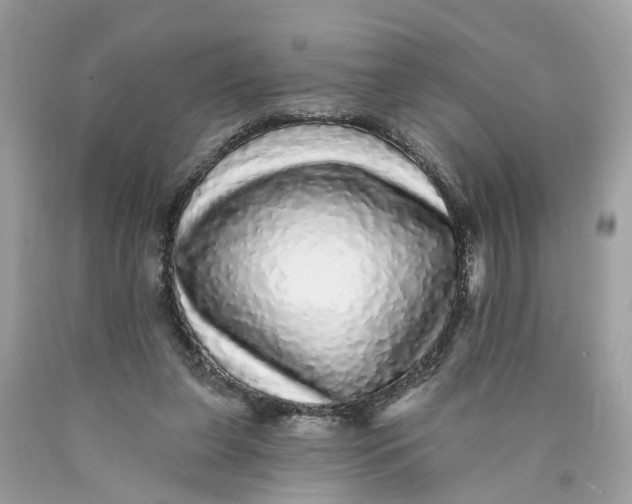 X0000089960255200707201955