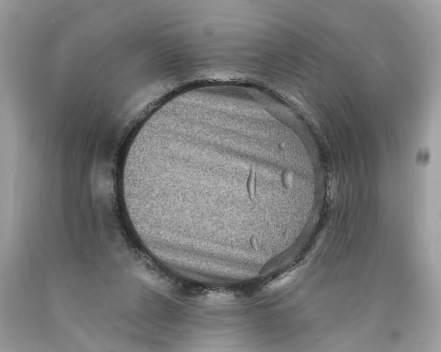 X0000089960256200707201955