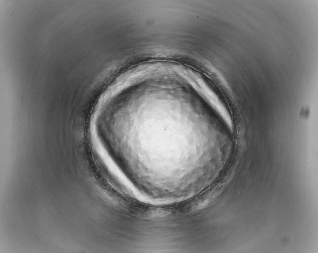 X0000089960257200707201955