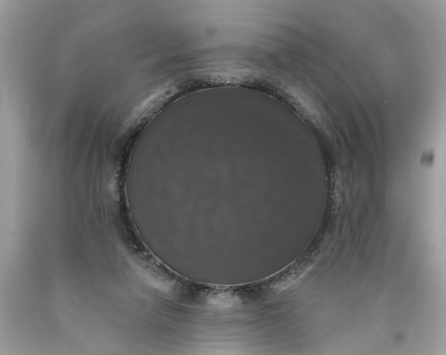 X0000089960258200707201955