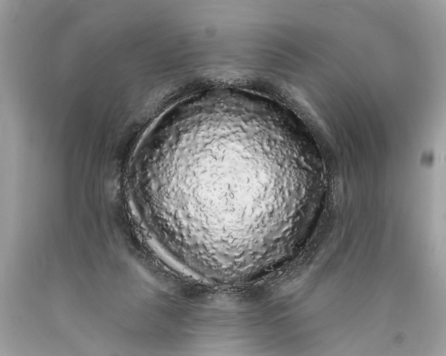 X0000089960259200707201955