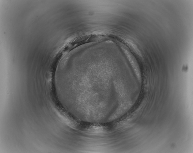 X0000089960260200707201955