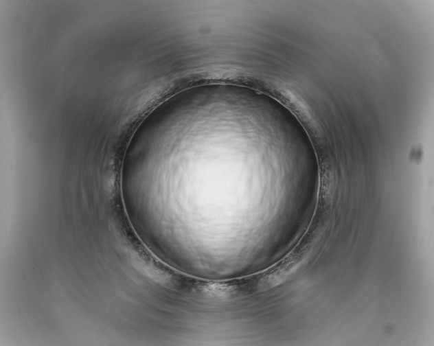 X0000089960261200707201955