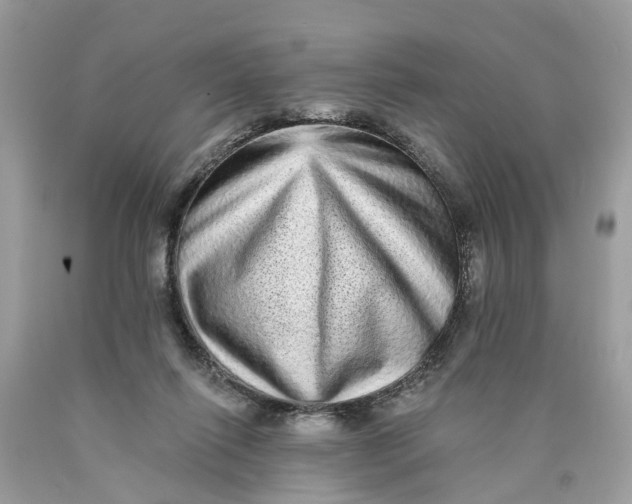 X0000089960262200707201955