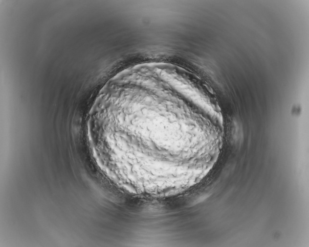 X0000089960263200707201955