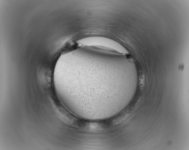 X0000089960264200707201955