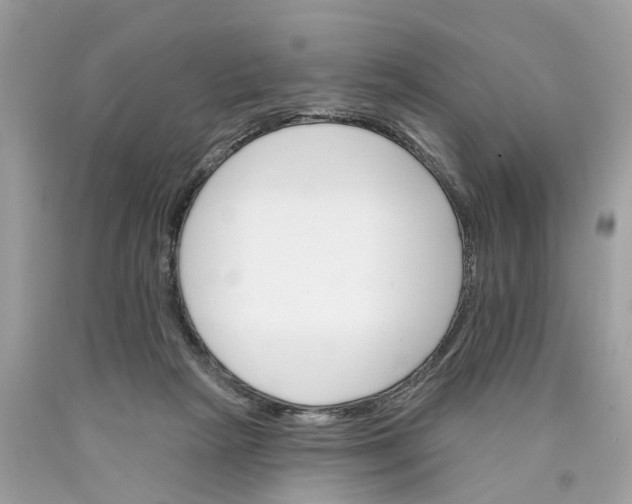 X0000089960265200707201955