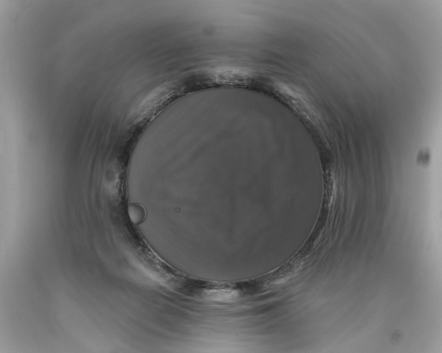 X0000089960266200707201955