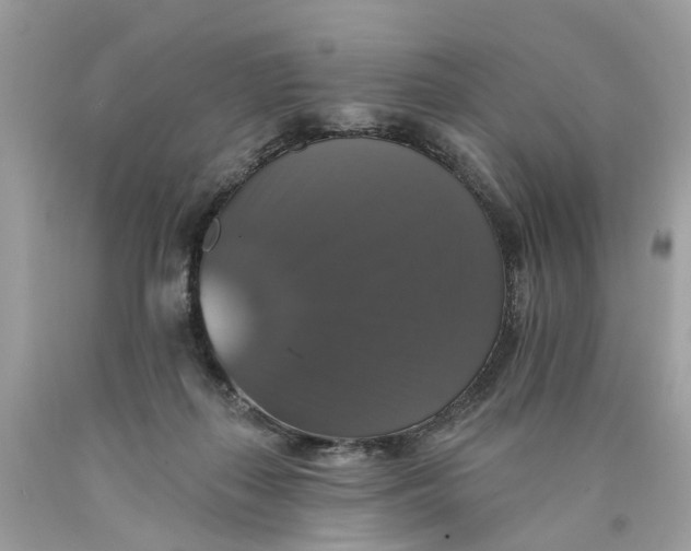 X0000089960267200707201955