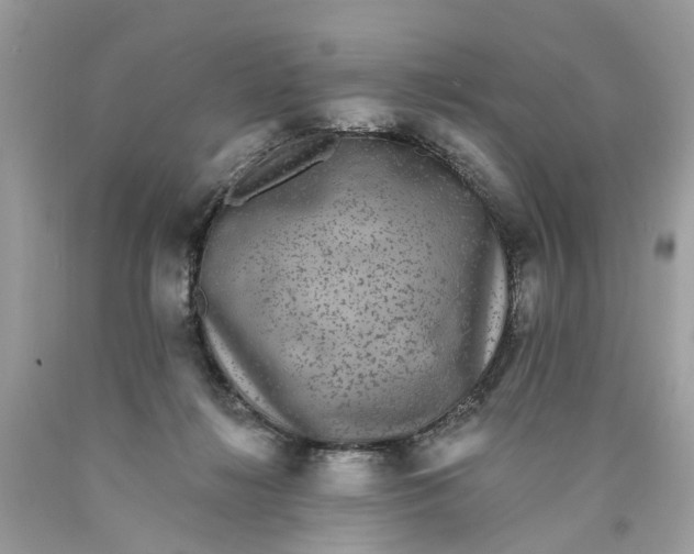 X0000089960268200707201955